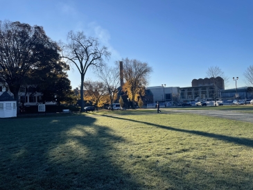 a picture of the Green with a big tree in a semi-foggy morning 