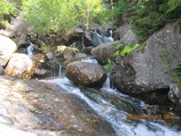 Water flowing over round rocks surrounded by somewhat primitive forest on both sides.