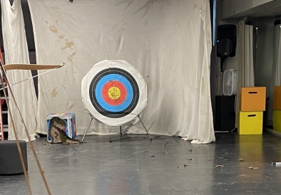 a picture of a target with arrows sticking out of it
