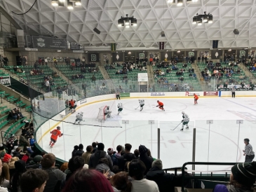 A picture of the Princeton Hockey Game!