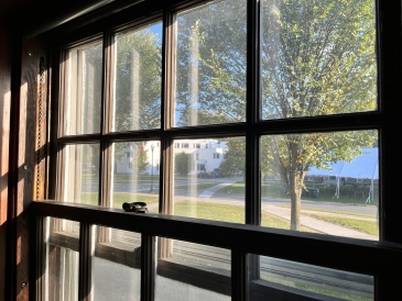 Picture looking outside of a window on a sunny day at a tree and a white brick building