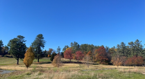 Golf course at Dartmouth