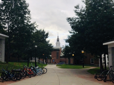 A landscape view of Dartmouth's campus from the courtyard of a dorm.