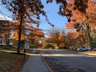 fall at Dartmouth