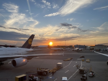 a picture of a lufthansa airplane in Boston Logan with the setting sun behind it
