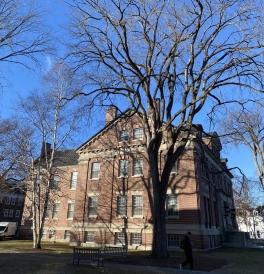 Ash tree next to Dartmouth building in colonial, brick architecture 