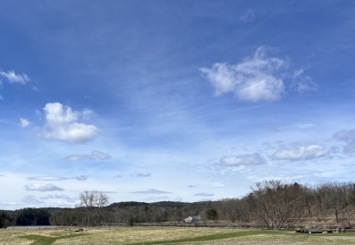 A picture of a field on a sunny day with a line of leafless trees in the distance