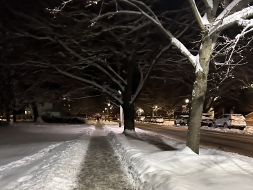 A picture of a snowy pathway as I walked back to my dorm from the snowball fight.