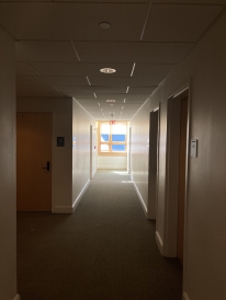McLaughlin window