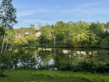 An Image of a shaded afternoon overlooking Occom Pond on Dartmouth's Campus