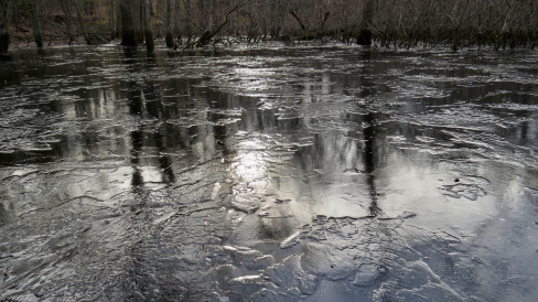 A landscape shot of reflective ice on a pond