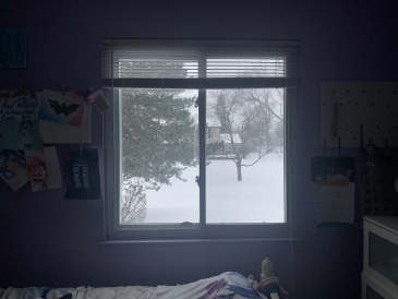 Bedroom Window