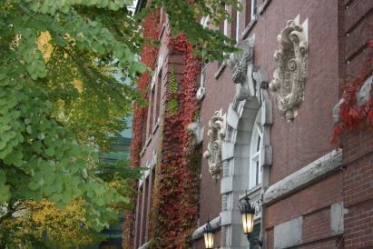 outside Wilder hall, in the fall with red leafed vines on the building and yellow and green tree leaves.