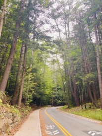 View of Old Tuck Drive on the walk back from the Ledyard Clubhouse 