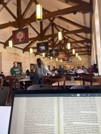 My view as I work on my laptop in the "Dark Side" of Foco. My view as I work on my laptop in the "Dark Side" of Foco.