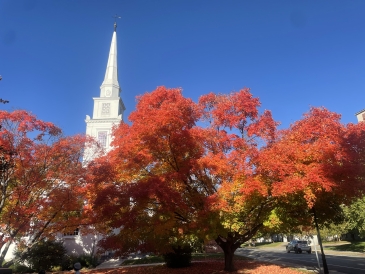 Dartmouth Foliage