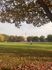 Baker Foliage