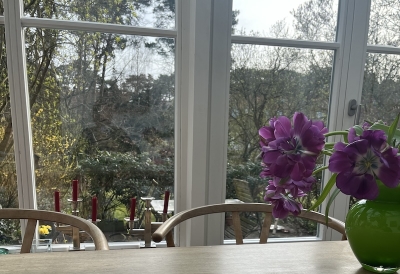 An image of purple flowers in a sunroom overlooking a garden