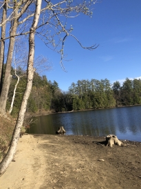 A picture of Mink Brook.