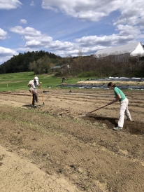 A picture of two people working on the farm