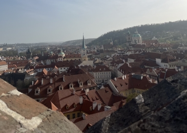An image of Prague city of buildings with red roofs from a high point