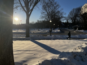 An image of the Green from the east side, covered in snow, with people ice skating on the rink on the Green