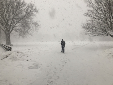 Unlike this brave soul trudging through a Dartmouth blizzard, I am not the only person to not be engaged in the Greek scene! A Dartmouth blizzard is beautiful!