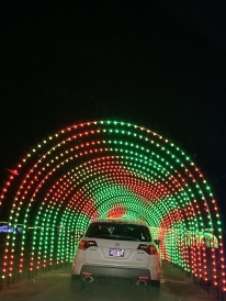 Enjoying the holiday lights during Winterim! Enjoying the holiday lights during Winterim!