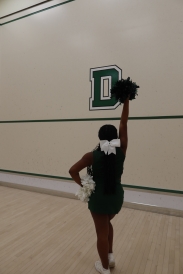 Me posing with my pom poms, one hand on my hip with my other hand raised.