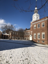 Baker Berry With Snow Baker Berry With Snow