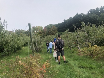 Landscape View of Orchard