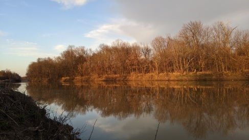 Riverbank sunset