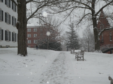 Snow-covered sidewalk