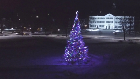 A picture of a Christmas Tree on the Dartmouth Green