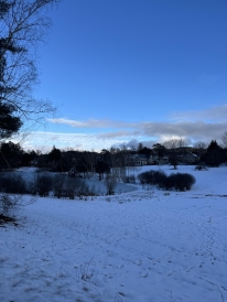 Occom pond frozen over