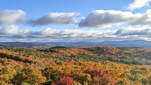 Some beautiful fall foliage! 