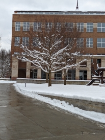 Baker Berry and a beautiful snow covered tree!