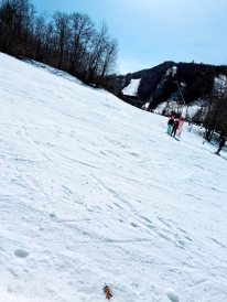 A photo of the skiway