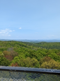 A shot from GIle FireTower showing the surrounding landscape