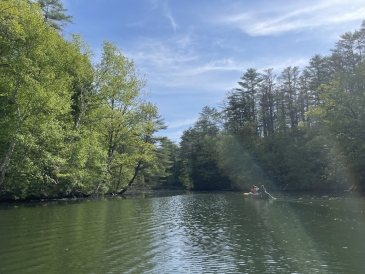 A picture of the Connecticut river on a sunny day with two canoes in the distance and tall pines on the banks