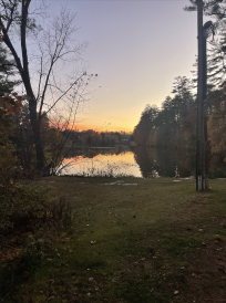 New England nature on display at Occom Pond