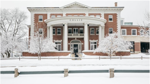 Collis on a snowy day (Photo by Robert Gill)