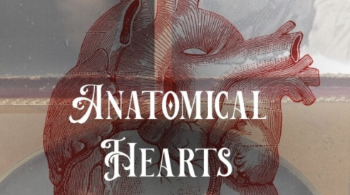 Anatomical Hearts Poster