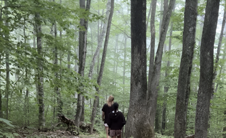 Friends walking through the woods