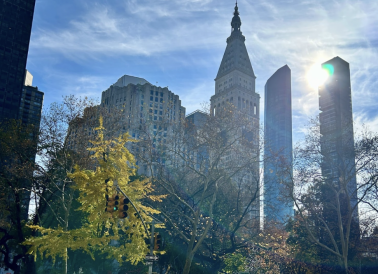 A view of buildings in NYC