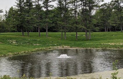 A picture of nature and tall green trees surrounding a fountain.