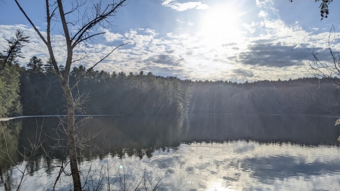 Beautiful spring photo!