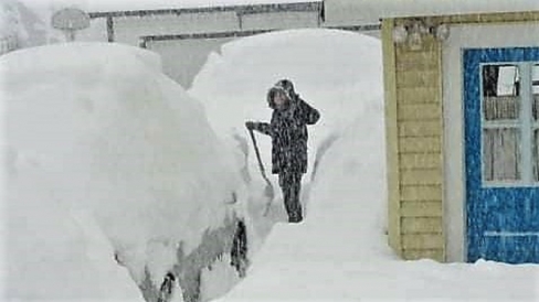Gui in a Snowstorm