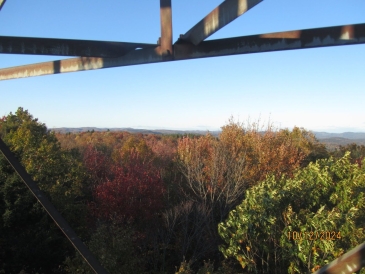 An overhead view of trees with vibrant red, orange, and green leaves.