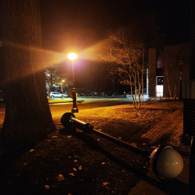 An image of a street lamp next to a tree, also next to a toppled over street lamp 